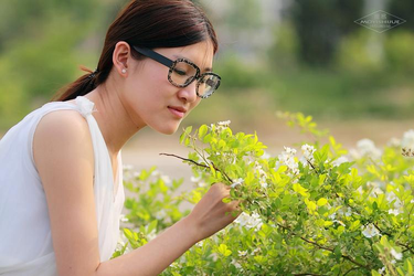 成人在线免费观看功能展示
